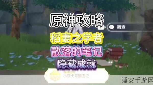 原神探秘,轻松抵达稻妻城的绝妙攻略