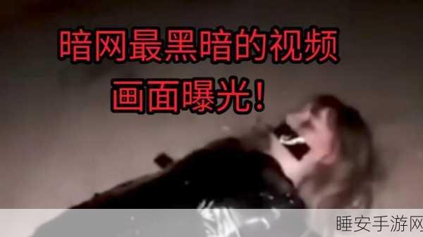 91暗网破解版:91暗网免费版" 😄