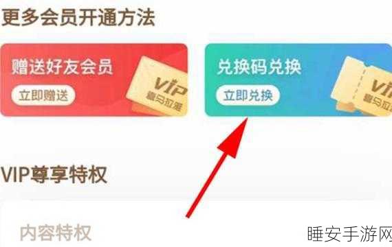51vip终身卡兑换码:51vip终身卡激活码" 🔑