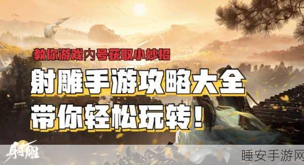 射雕手游战力飙升秘籍,独家提升技巧大揭秘