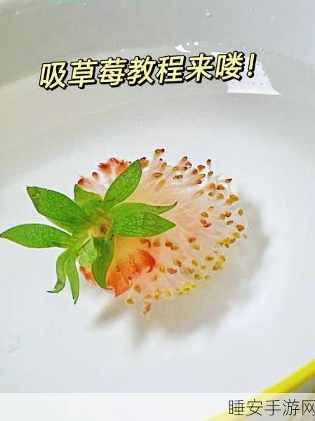 草莓搔片视频:草莓薄片制作教程" 🍓