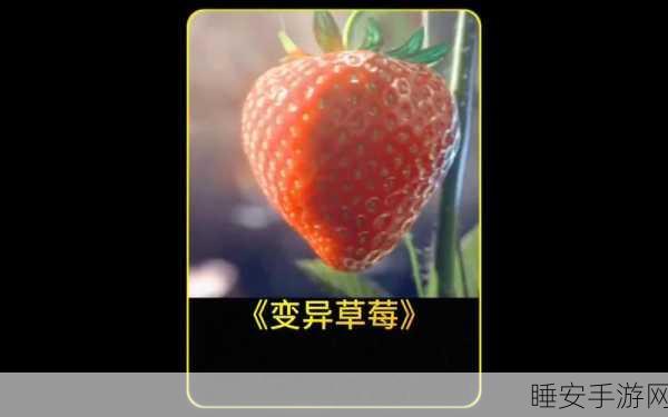 草莓影视:草莓影坊🍓
