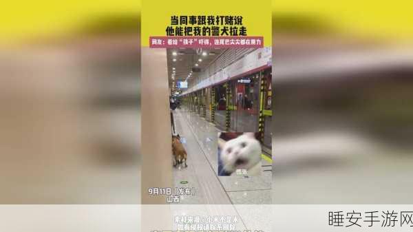 17cc黑料网爆料:17cc黑料网揭秘" 🔍
