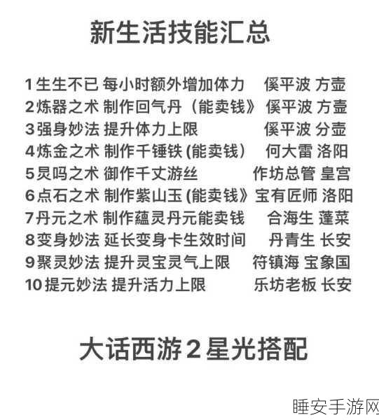 大话西游 2 免费版，新手进阶秘籍全攻略