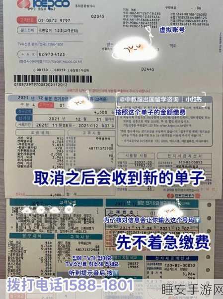 2024年韩国三色电费收费标准:2024年韩国电费三色标准调整" 😊