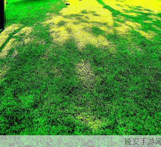 7x7x7x暴力草：7x7x7x挑战草＂ 🌟