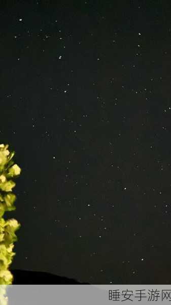 麻花星空:星辰交织的麻花"✨