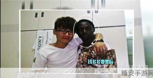 黑社料下载:非正式渠道下载" 📥