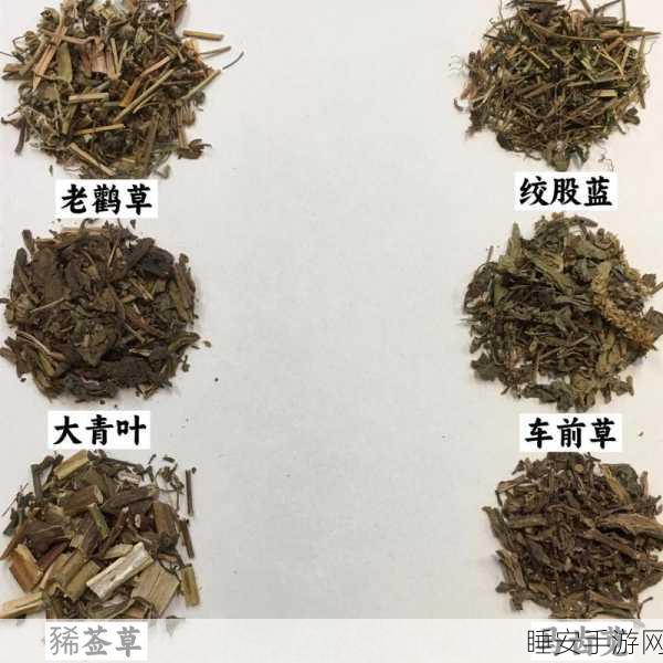 17草:17种草"🌿
