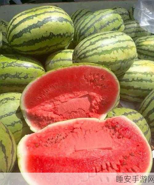吃瓜天堂:瓜果乐园" 🍉