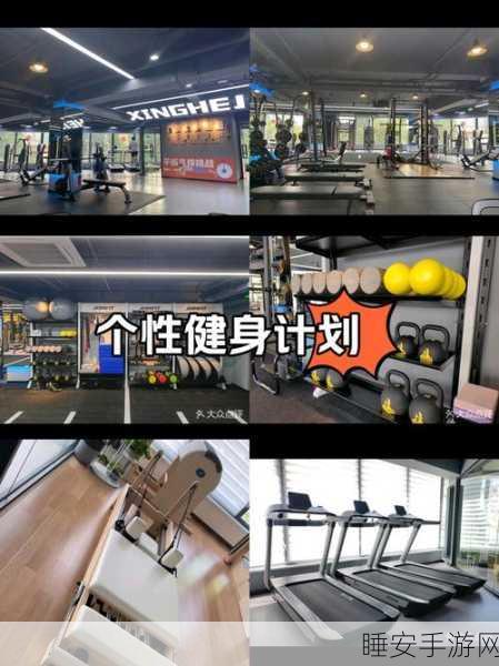火柴人健身大挑战,模拟健身新体验,燃烧你的卡路里!