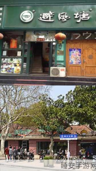 仙踪林51dadou行情网:奇缘森林51dadou市场网"🌟