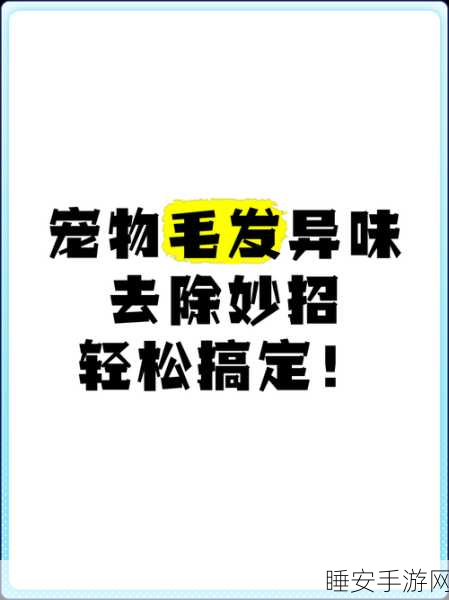 轻松搞定！QQ 宠物去除秘籍大公开