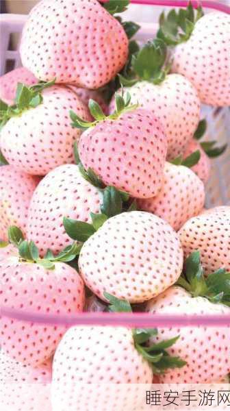 草莓视频:莓果时光🍓