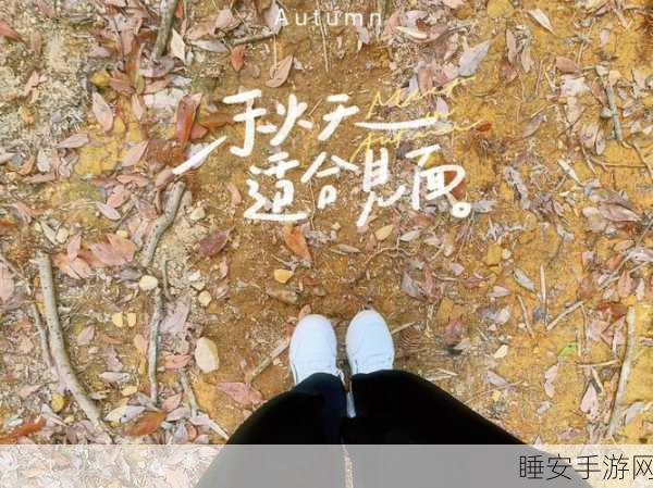 久久99回家不迷路:99久久归家路不再迷🗺️