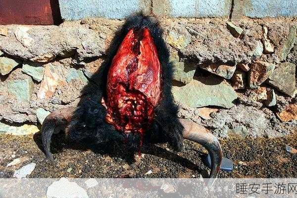 血腥割头外网免费版:免费版血腥斩首外网" 😈