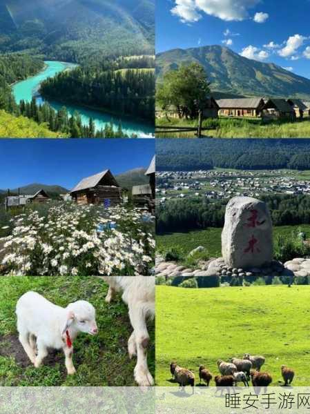 y1uan大家庭新疆:新疆 y1uan 家族 🏞️
