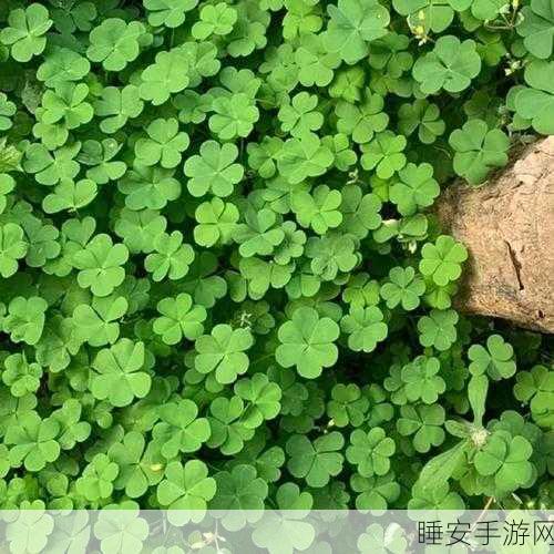 成品网站w灬 源码1688三叶草:三叶草1688成品网站源码w灬" 😄