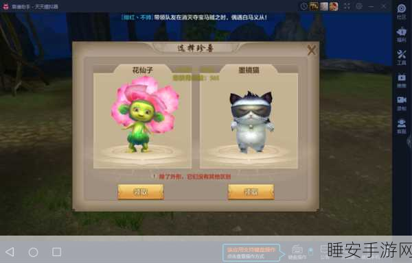 萌宠小鸟进化记,趣味养成手游全解析