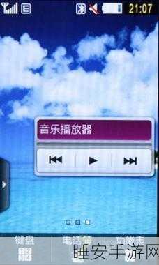 十大禁用的免费播放器：十种需要避免的免费视频播放器＂ 🎥
