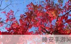 亚州人成色777777老人:亚州人与777777号老人" 😊