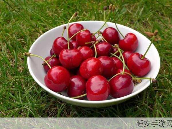 在线樱桃视频:樱桃视频流媒体" 🍒