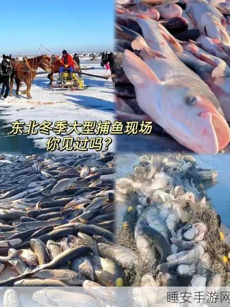 开心捕鱼千炮版震撼上线,深海竞技,赢取海量金币!