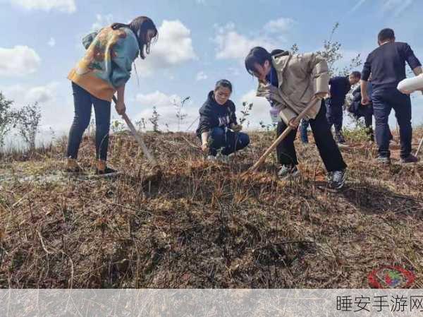 嫩草影视传媒公司:新生绿影传媒公司" 🌱