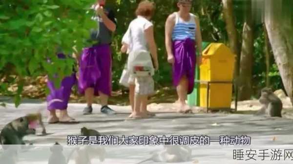 二人生猴子全程不盖被子视频大全集:二人在床上嬉戏全过程无被子视频集"😂