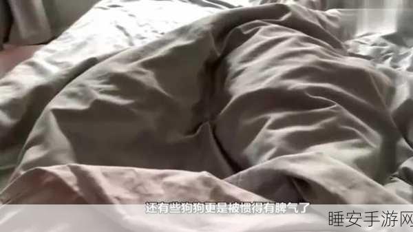 二人生猴子全程不盖被子视频大全集:二人在床上嬉戏全过程无被子视频集"😂