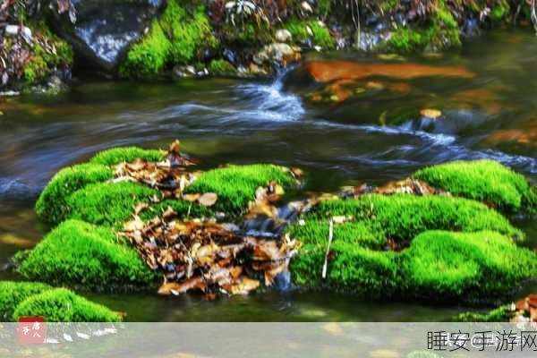 两峰夹小溪地湿又无泥诗:溪水潺潺间的湿润诗意" 🌊