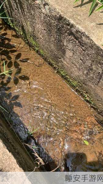 两峰夹小溪地湿又无泥诗:溪水潺潺间的湿润诗意" 🌊