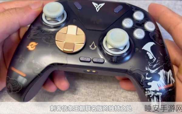 杀手新作:刺客的最新作品" 🎮