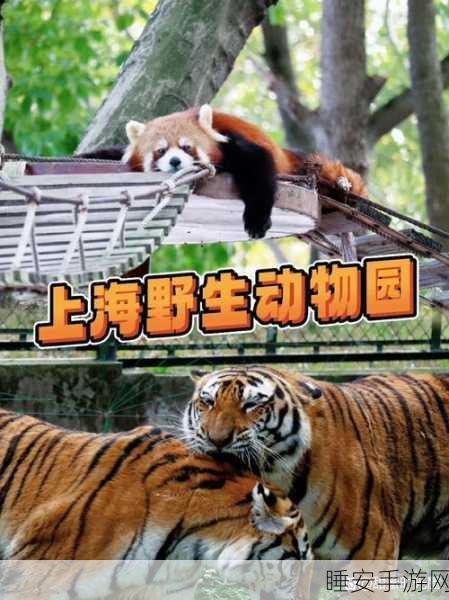 萌趣无限,赚钱有道,探索天天小萌鸭动物合成游戏的乐趣与收益