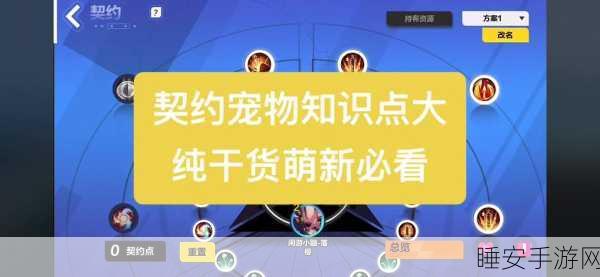 火炬之光手游,宠物法术书搭配与培养秘籍
