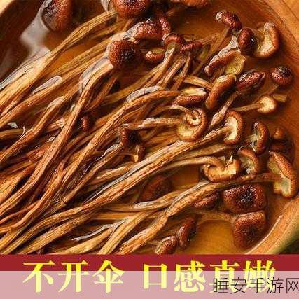菇菇店铺,消除乐趣与模拟经营的完美结合手游来袭!