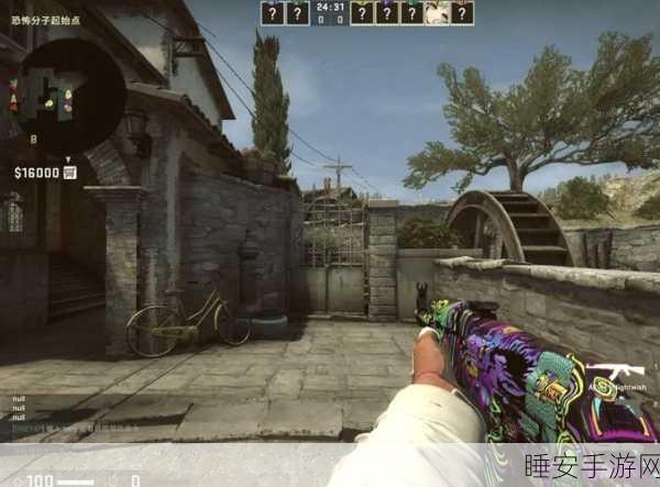 暴躁老阿姨CSGO通关攻略:老阿姨的CSGO通关秘籍" 🎮