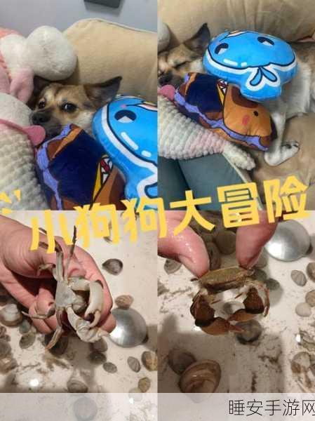 益智解谜新挑战,狗狗救援大冒险安卓版震撼上线!