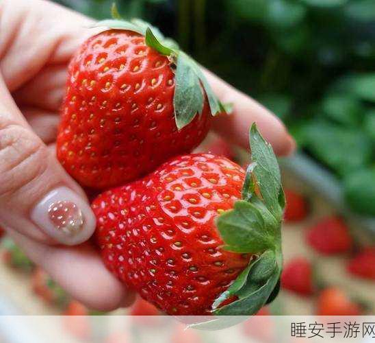 草莓视频xxyy:草莓视频精选" 🍓