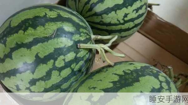 51吃瓜 爆料:51吃瓜内幕揭秘" 🍉