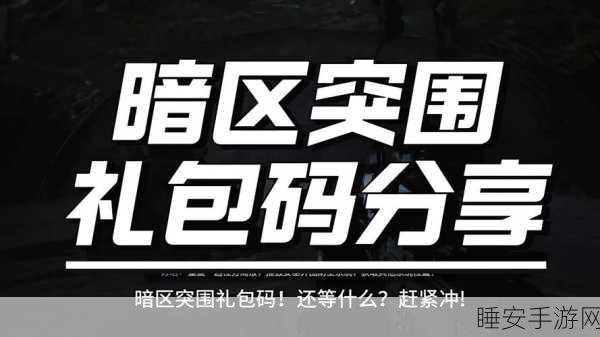 暗区突围cdk礼包兑换码2024:2024暗区突围CDK礼包兑换码" 🎮