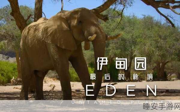 大象伊甸园一二三四五区别:大象伊甸园各版本比较" 🐘