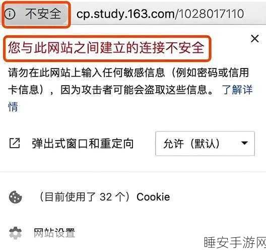 不良网站进入窗口:有害网站访问入口" 🚫