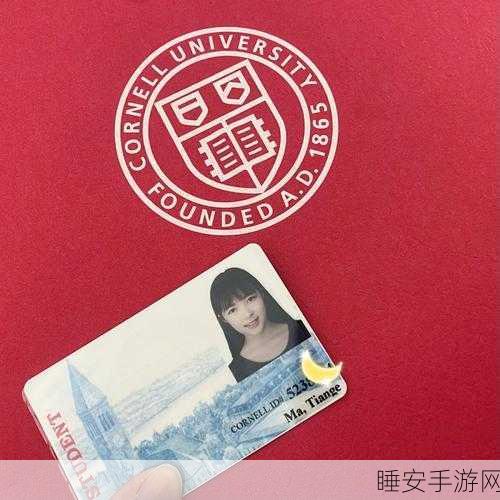 一卡二卡三卡四卡精品视颎:多卡精华视角呈现" 🌟