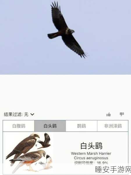 免费人与禽app:无费用的人与鸟类应用程序" 🦜
