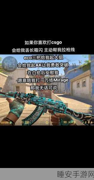 暴躁妹妹csgo暴躁老外玩游戏:火爆姐妹与外怒狂战CSGO游戏"🔥