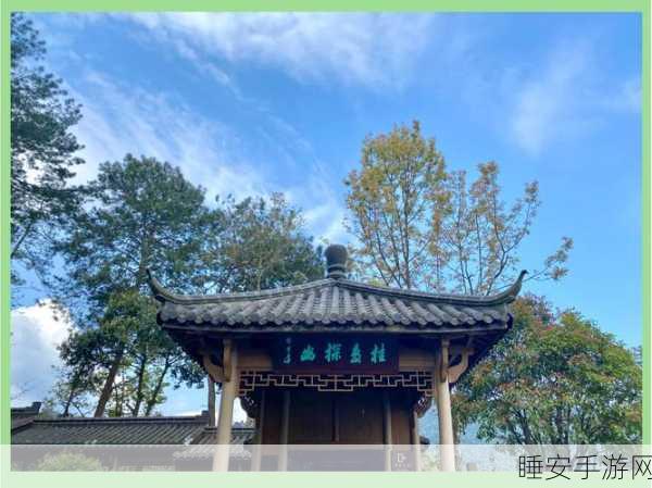 淑荣二次上船开到湖中间去:淑荣再次启航驶向湖心"🌊