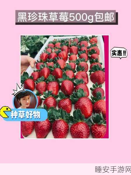 草莓视频福利:草莓视听乐园 🍓