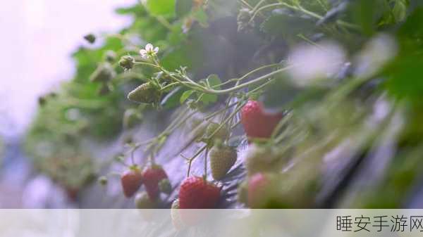 草莓视频怎么下载:如何下载草莓视频" 🍓