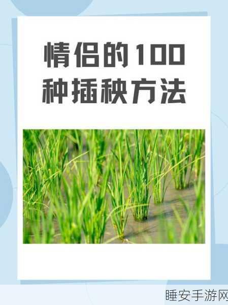 夫妻之间三十中插秧方法:夫妻共育田间的三十种插秧技巧"🌾